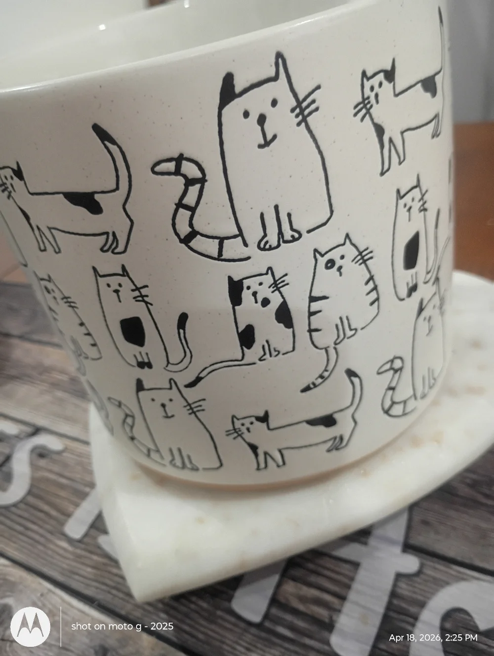 Cat planter All Over Print - Picture 3 of 10